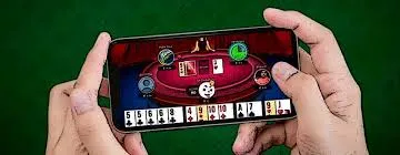 Lotus365 Betting Guide